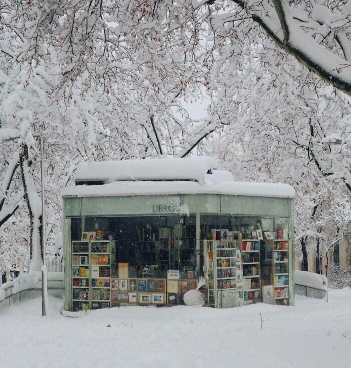 Edicola libraria accogliente e innevata circondata da alberi ghiacciati, che espone libri in un magico scenario invernale.
