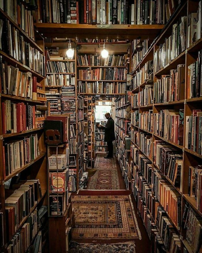 Biblioteca aconchegante e grandiosa com altas prateleiras de madeira cheias de livros e uma pessoa a navegar num cen&aacute;rio de livraria m&aacute;gica.